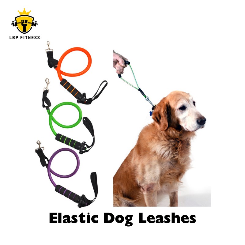 stretchable elasic dog leashes with resistance tube