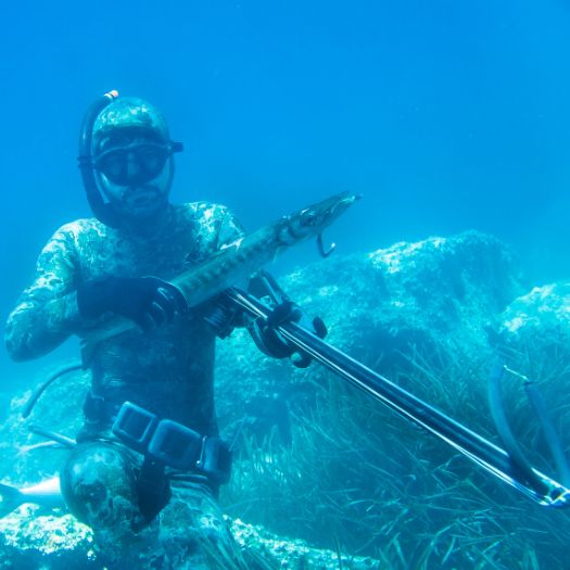 Spearfishing